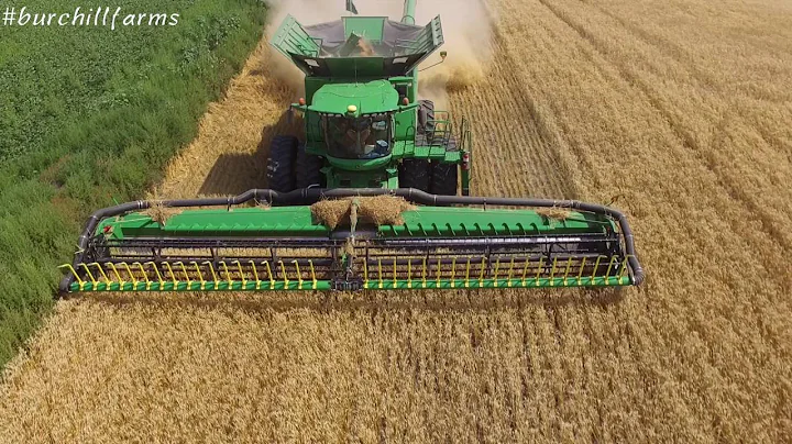 Burchill Farms Wheat Harvest