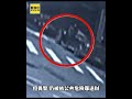北市刑大偵查佐毒品快篩陽性!涉公共危險罪#short