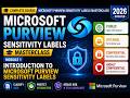 Sensitivity Labels Complete Training | Module 1: Introduction