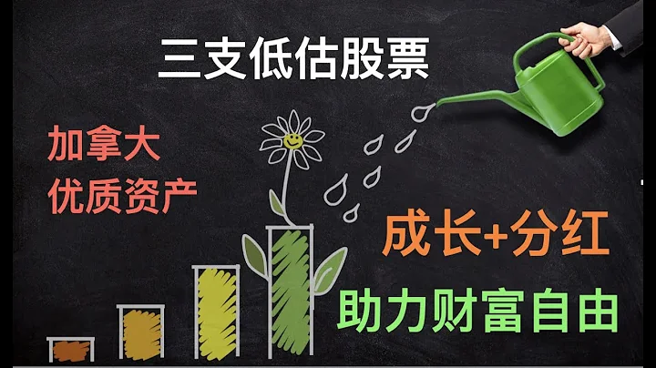走向財務自由！三支極品加拿大分紅股 - 天天要聞