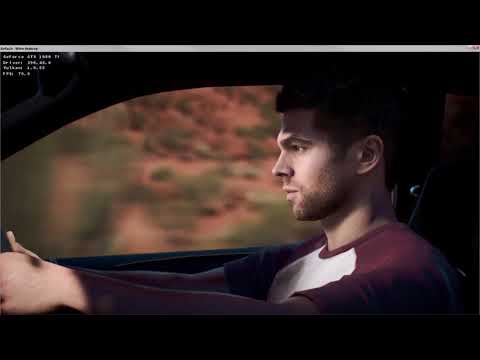 Need For Speed Payback DXVK Linux Mint 18.3