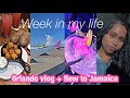 orlando vlog, flew to  jamaica, week in my life (forex,bitcoin)