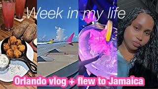 orlando vlog, flew to  jamaica, week in my life (forex,bitcoin)