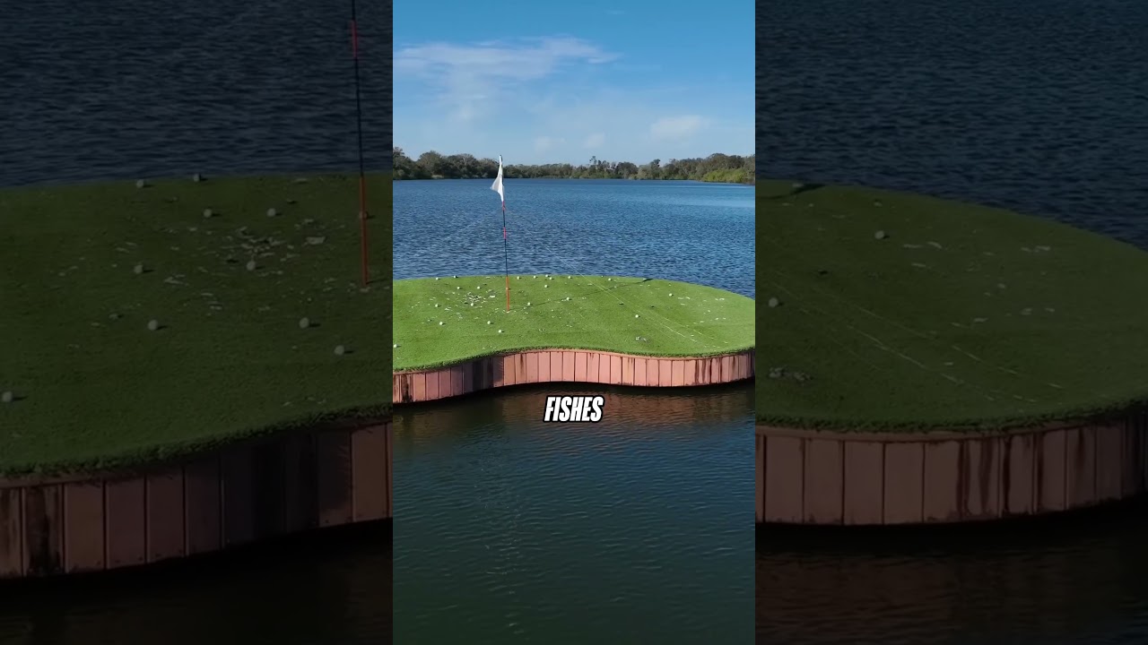 These golf balls are filled with fish food 🤯🐟