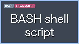 Bash script to delete a file called index.html recursively (3 Solutions!!)