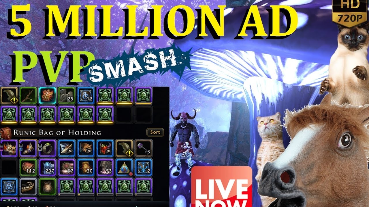 Neverwinter Live Stream Feytoch Vs Vorpal 1 vs 1 PVP