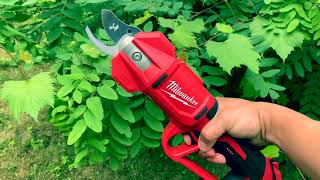 Testing the new Milwaukee M12 pruner shears!