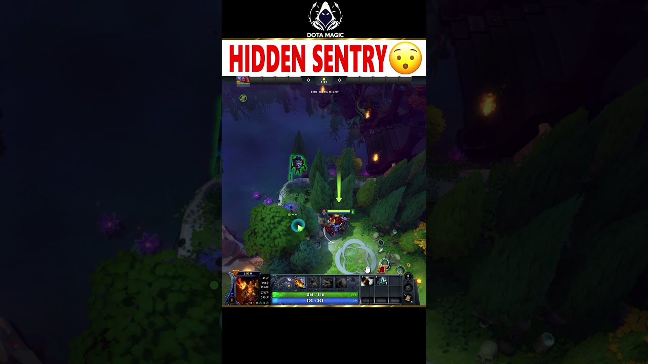 Use these hidden sentry wards 😮 