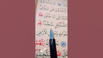 سورة النحل الأية 46 إلى 49 القارئ ماهر المعيقلي