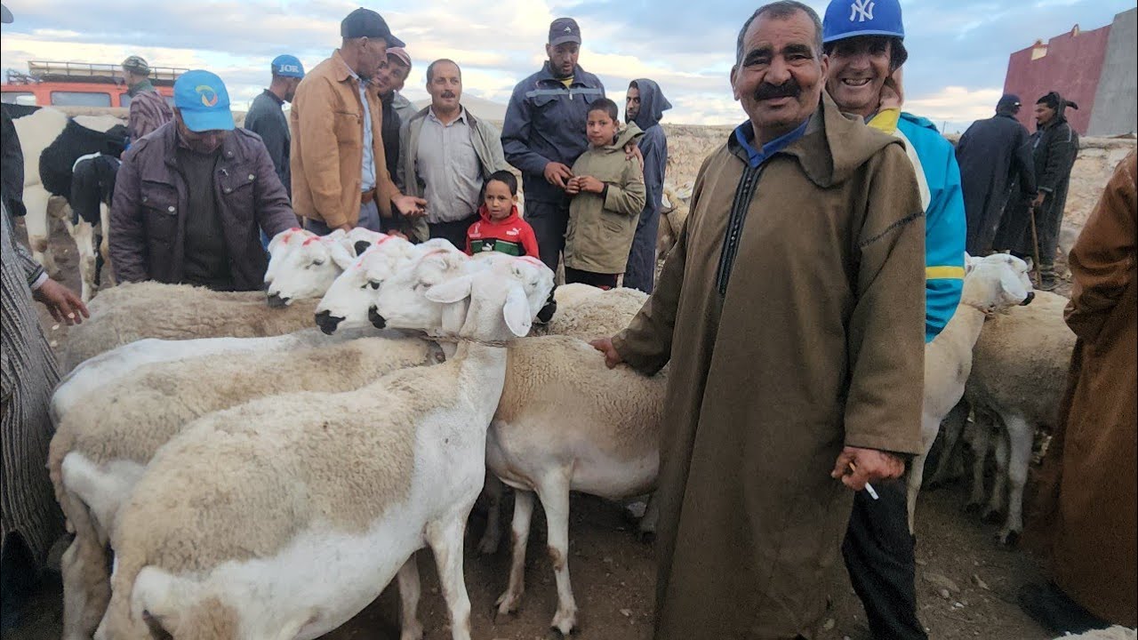 خيرات موجودة في سوق الأسبوعي حد لولاد عبدون نقدم لكم أتمنة نعجة