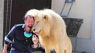 Circus Krone  "Mr. Poo" - Lion poo Pop-Up Store  - Bottled Lion poo keeps cats and martens away