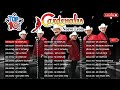 10 Grandes Exitos 2023 - Cardenales De Nuevo León 2023