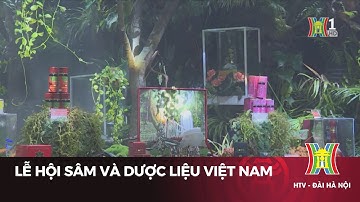 Đặc sắc lễ hội sâm và dược liệu Việt Nam | Tin tức mới nhất hôm nay