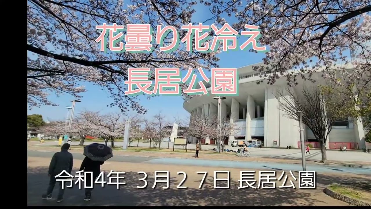 花冷え 花曇り Youtube