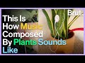 Artist invents device that can listen to plant music