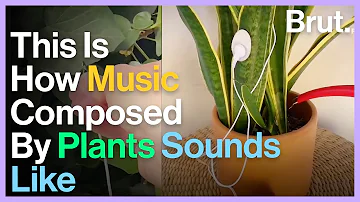 Artist Invents Device That Can Listen To Plant Music