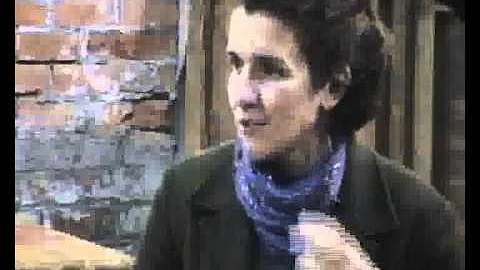 intervista 1 PARTE a Priscila Facina Monnerat - Se...