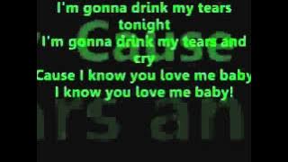 Lady Gaga - Government Hooker - Lyrics on screen