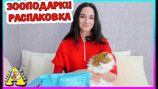 ПРИСЛАЛИ КОТА / Распаковка зоопосылки /  ЗООПОДАРКИ / Alisa Easy Pets