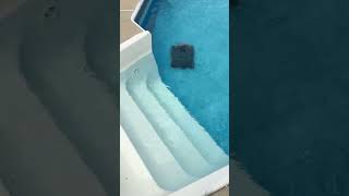 One of the best blue tooth wireless pool vacuums on the market