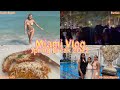 Miami Vlog | Spring Break 2022