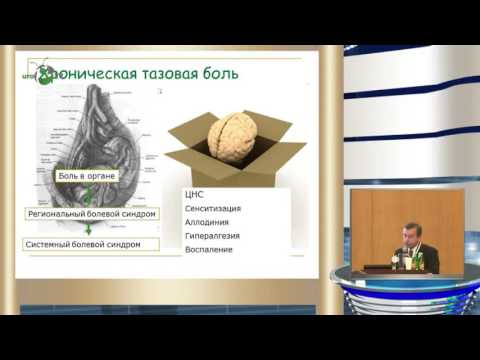 Зайцев А В - Хроническая тазовая боль в урологии – междисциплинарная проблема