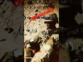Battlefield 6 The Chain Snatcher! #battlefield6 #shortsfeed #funnyvideo #rpg #battleroyale #gaming