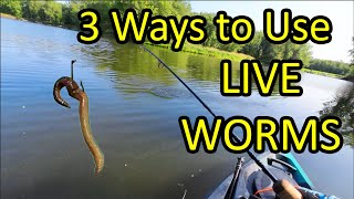 How to Catch a Fish With a Live Worm for Bait - 3 Ways (Beginner Fishing Tips)