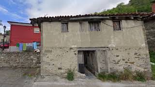 Flor de Acebos, Pajares, Lena, ASTURIAS