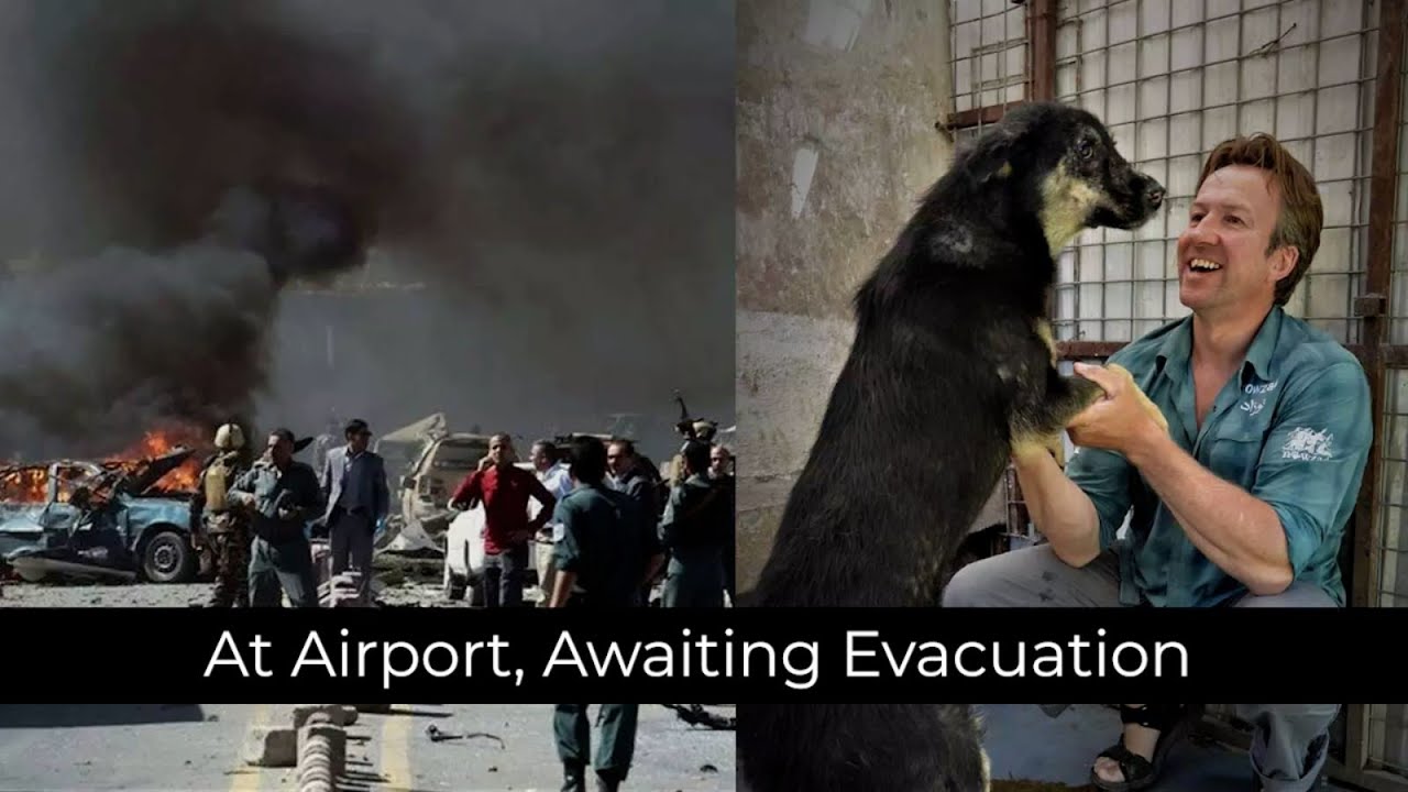 Former British Marine Pen Farthing makes it to Kabul airport after being forced to turn back