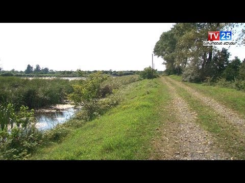 გადამფრენ ფრინველებზე ნადირობის სეზონი 2018 წლის 18 აგვისტოს იწყება