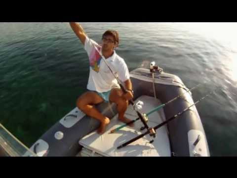 tutorial pesca a traina con esca viva in estate rivolta a catturare i dentici dal gommone 1/3