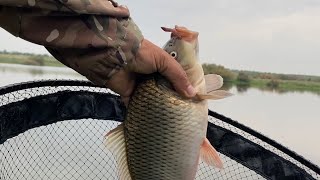 Рыбалка на озере Ловля сазана на мах 