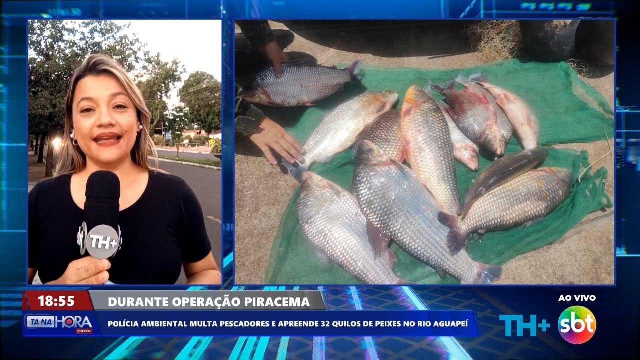 Polícia ambiental multa pescadores na última semana da piracema
