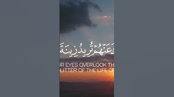 تلاوة هادئة تريح الاعصاب💚 قران كريم بصوت جميل جدا سبحان من رزقه هذا الصوت
