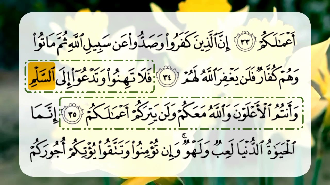 تلاوة تعليمية للقران الكريم برواية شعبة عن عاصم سورة الجاثية الاحقاف محمد الفتح الى الطور- تجويد