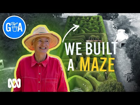 Home Garden Hedge-Maze! | Discovery | Gardening Australia