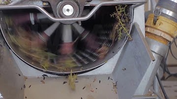 Grape Destemmed And Crushing Machine For Industrial Use