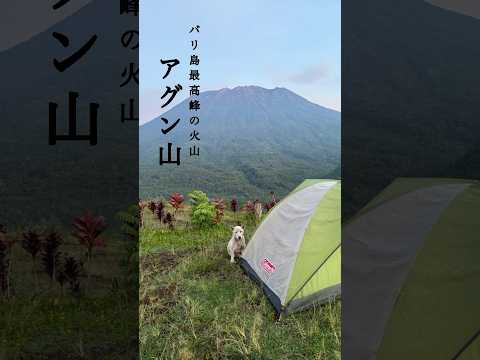 バリ島最高峰の活火山🌋【アグン山】　#バリ島 #バリ島情報 #キャンプ #バリ島生活 #バリ島旅行 #火山