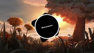 momentum-zplit [ no copyright ]