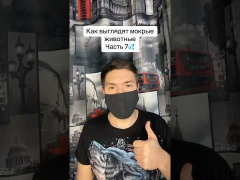 Как выглядят мокрые животные Часть 7 #рекомендации #животные #рек #слон