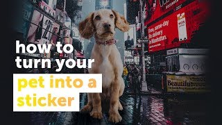 How to turn your pet into a sticker | PicsArtTutorial screenshot 4