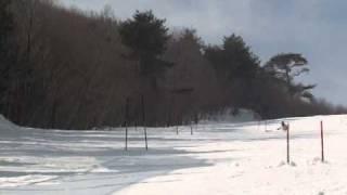 M2U00526.MPG