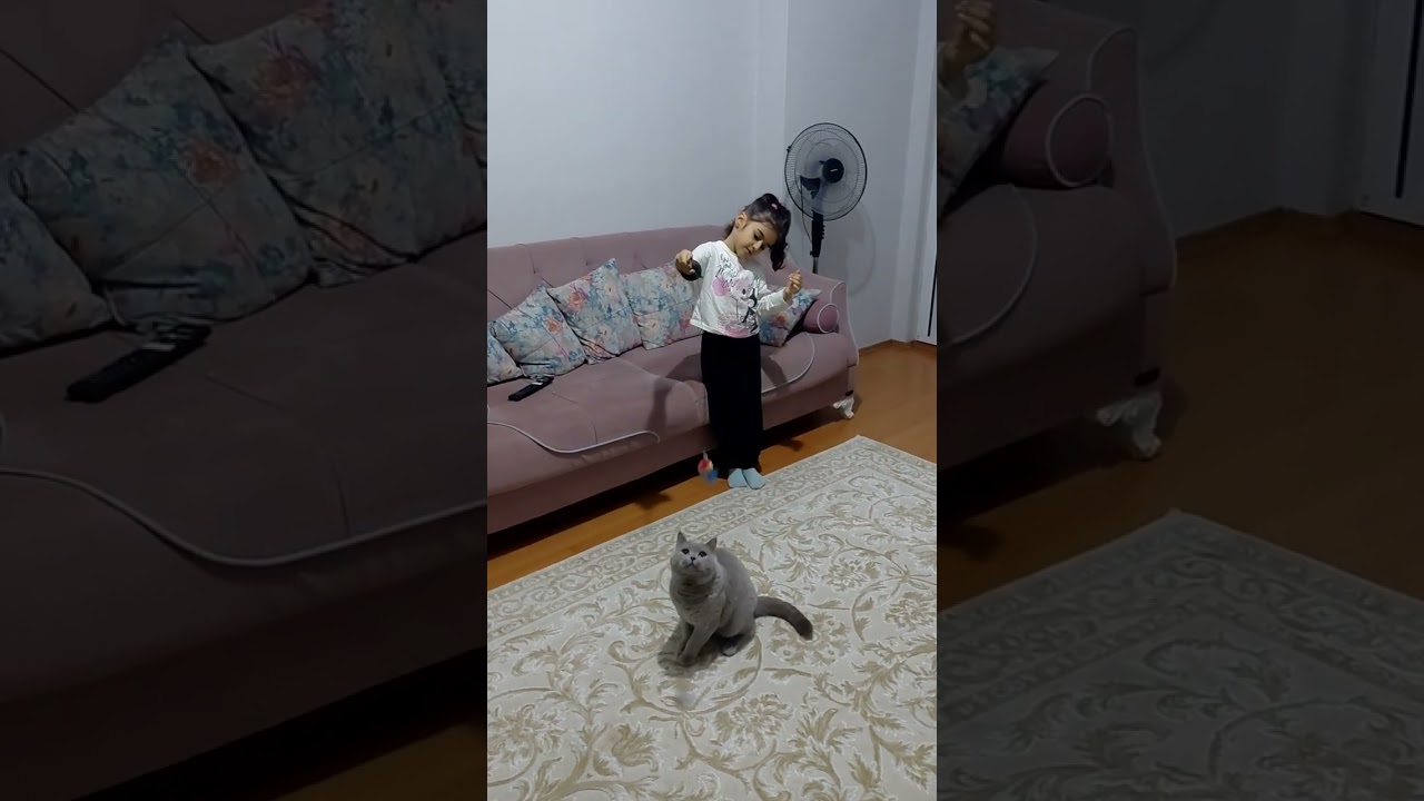 Bakalım kediler oyuncağını ne kadar seviyor #kesvet #beniöneçıkart 