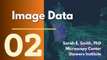 Scientific Figure Preparation in Adobe Illustrator and Fiji - part 2: Image Data