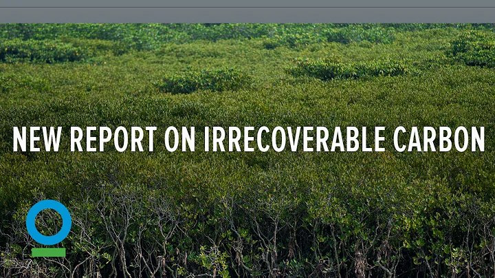 New Conservation International report on irrecoverable carbon