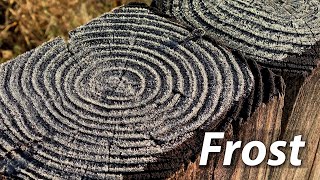 Frost