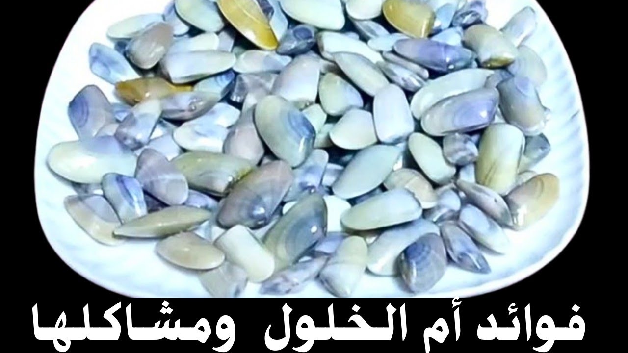 Уксус: его многочисленные преимущества, виды и способы избежать связанных с ним проблем.