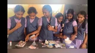 “Hands-on Science Practical Session in VEMS."🧪