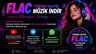 FLAC Yüksek Kalite Müzik İndir 4
